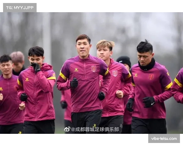 成都蓉城杨明洋累计四黄停赛 中场组织核心缺席关键战役